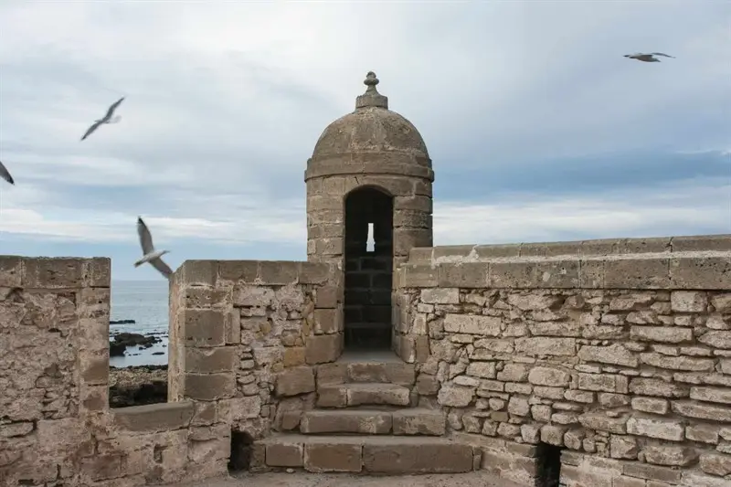 8 días: ciudades imperiales y costa atlántica desde Fez