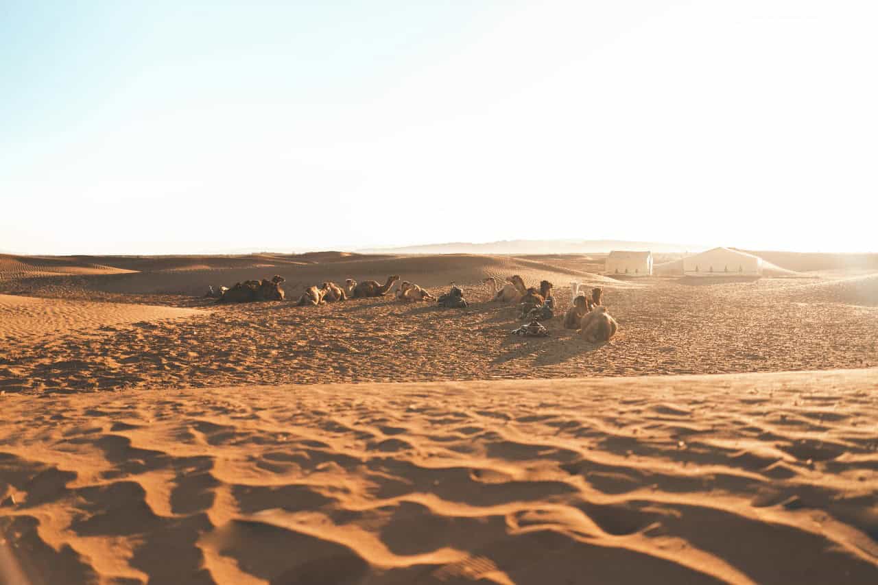 2 Days tour From Marrakech to Zagora Desert