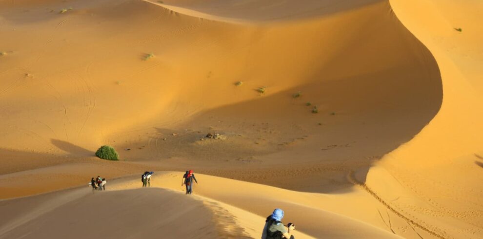 3 Days desert tour to Marrakech