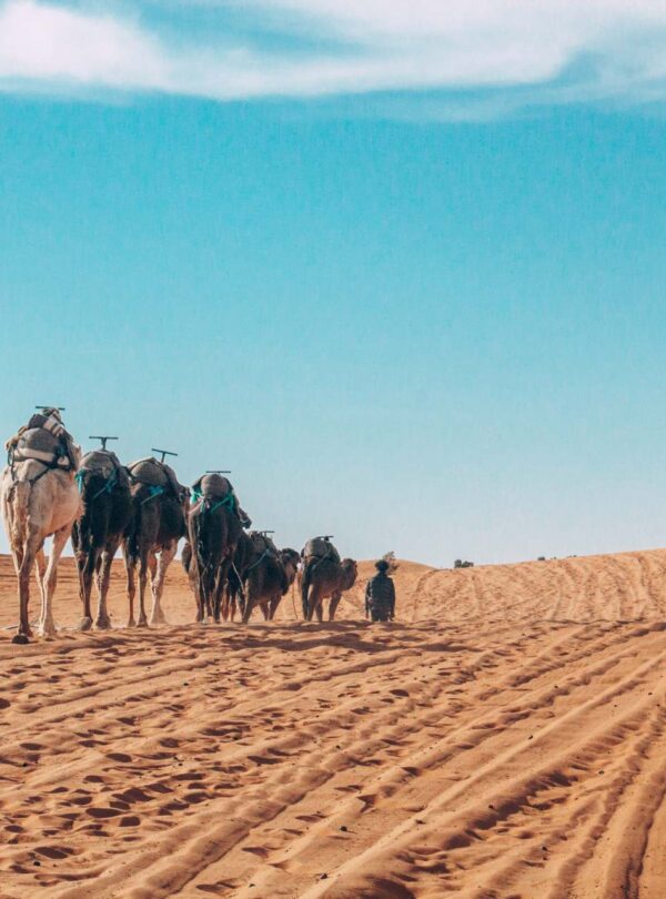 3 Days tour from Fes to Marrakech