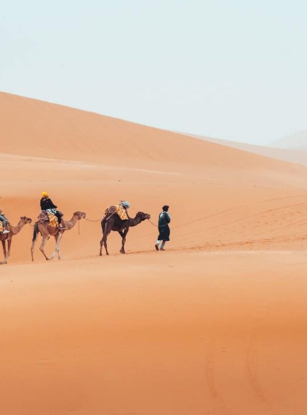 8 Days costal tour from Fes
