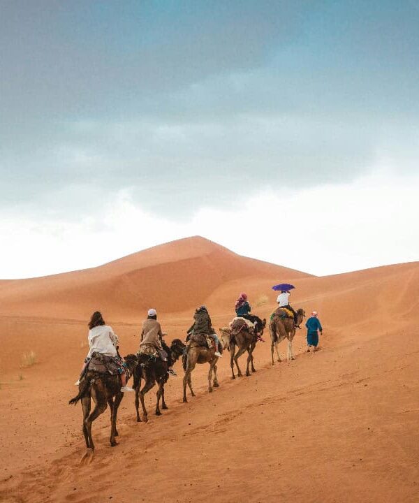 10 Day from Casablanca to Casablanca Morocco Tour