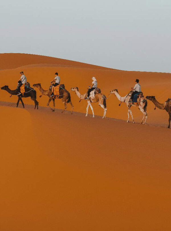 10 Days Tour From Tangier
