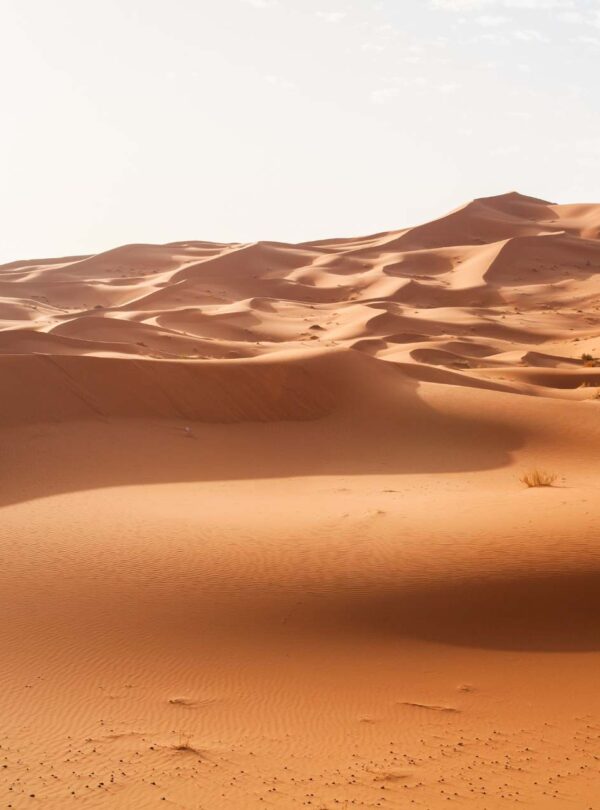 12 Days imperial cities tour from Fes