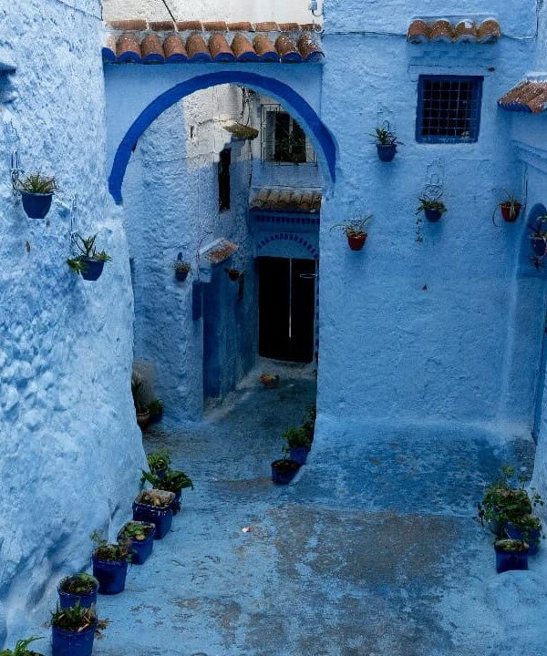 7 Days desert tour casablanca to Marrakech via Fes