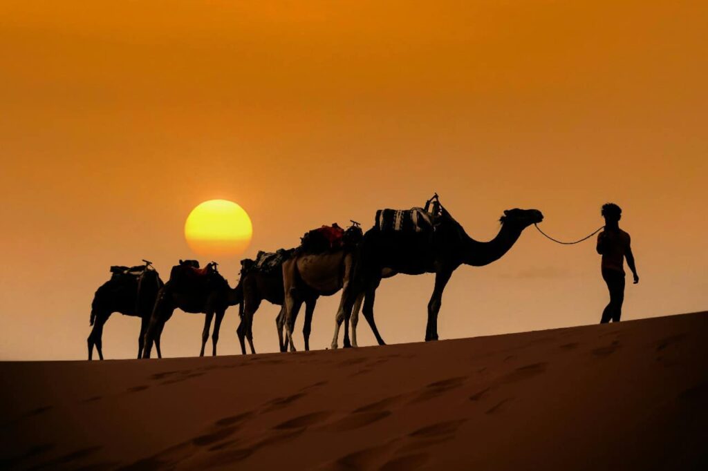 8 Days Morocco Tangier to marrakech