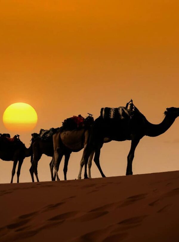 8 Days Morocco Tangier to marrakech