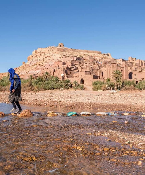 Day Trip Essaouira