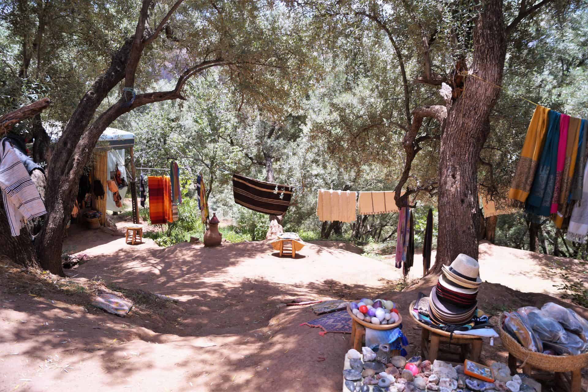 Day Trip Ourika