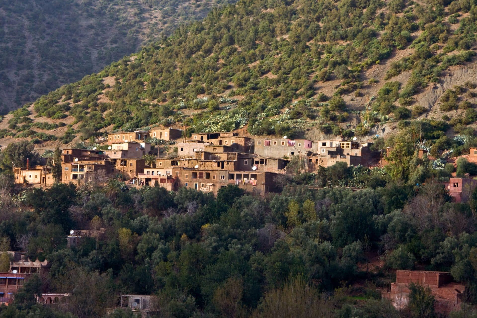 Day Trip Ouzoud