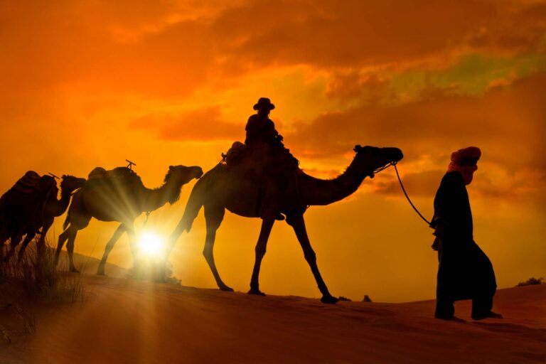 What Are the Best Things to Do in the Morocco Desert?
