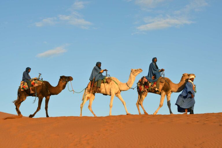 Merzouga Desert Tours: What to Expect on Your Trip