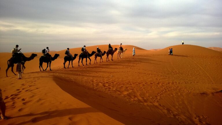 How To Choose Between A Private Morocco Tour And Group Tour