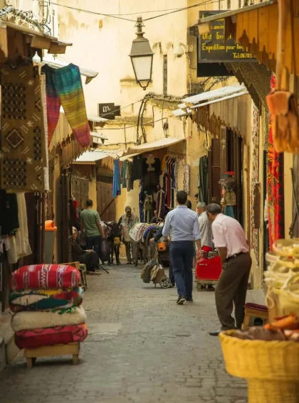 Private Fes Desert Tours